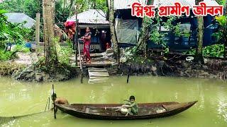 বানারীপাড়ার খাল নদী ঘেরা স্নিগ্ধ গ্রামীণ জীবন || Panorama Documentary