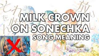 MILK CROWN ON SONECHKA - what's the song about??