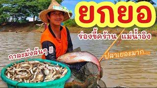 ยกยอ น้ำอิงบ้านกาดถี ►Fishing lifestyle Ep.704