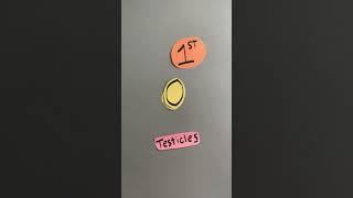 What changes happen during puberty? (Boys Edition) #shorts #education
