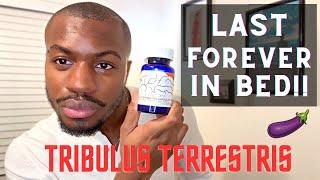 Tribulus Terrestris Review | Does Tribulus Work?