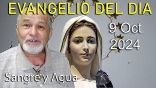 Evangelio Del Dia Hoy - Miercoles 9 Octubre 2024- Sangre y Agua