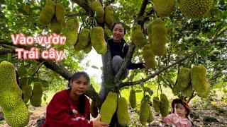 Một Ngày Đi Về Nhà Bà Ngoại Hái Trái Cây Ăn Tại Vườn / Ghé Nhà Bà Nội Lụm Trứng Gà