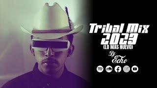 Tribal Mix (2023) - Dj Echo