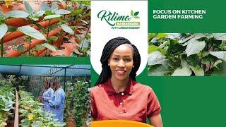 Focus On Kitchen Garden Farming  | Kilimo na Biashara