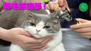 【看故事】與毛孩追夢！「家中一直飼養狗隻，但我從沒考慮當獸醫，因為這門課在香港屬於新科目。然而擔任義工期間，我感覺到動物與人類同樣重要，應當受到尊重，所以決定轉讀獸醫課程。」…