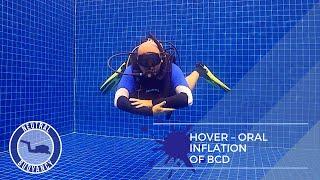 How to HOVER While Scuba Diving (Neutrally Buoyant 60 Seconds)  PADI Divemaster Skill Circuit