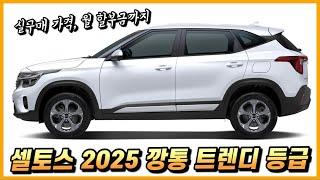 셀토스 2025 깡통 트렌디, 가성비 좋게 구매하는 실전 구매요령