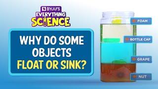 Why Do Objects Float Or Sink? | BYJU'S Everything Science #shorts