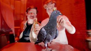 We Made a Pigeon an Influencer