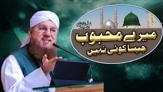 Meray Mehboob  ﷺ  Jesa Koi Nahi | Huzoor Ki Shan - Maulana Abdul Habib Attari