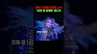 2NE1 재결합 콘서트 ‘40만 명 피케팅‘ 역시 제일 잘나가!! #2NE1 #재결합 #컴백