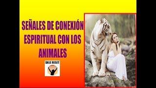 SEÑALES DE CONEXIÓN ESPIRITUAL CON LOS ANIMALES. Animales de poder, animales espirituales.