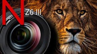 Introducing - The New Nikon Z6 III | Official Trailer - nikon