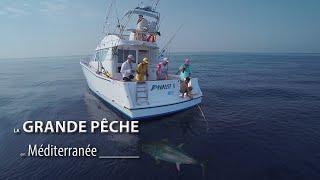 LA GRANDE PÊCHE EN MÉDITERRANÉE