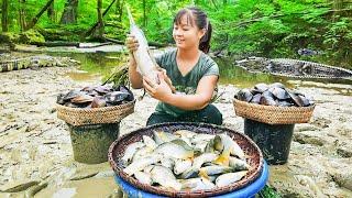 Harvesting A Lot Of Fish At Mud Pond Goes to market sell - Cooking fish | Tiểu Vân Daily Life