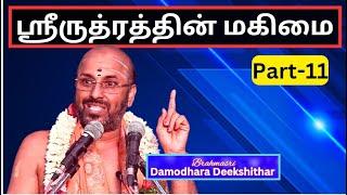 ஸ்ரீருத்ரத்தின் மகிமை 11, Glory of Sri Rudram -   Brahmasri Damodara Deekshitar