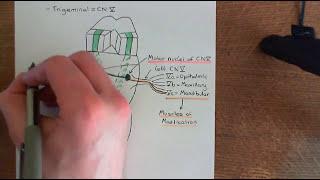 Amyotrophic Lateral Sclerosis (ALS) Part 5