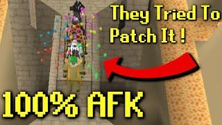 Jagex Tried To Patch AFK Agility... But They Failed...