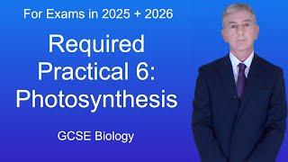 GCSE Biology Revision "Required Practical 6: Photosynthesis"