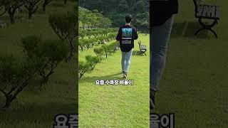 납골당에 모신 후 가장 후회하는 것