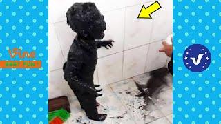 BAD DAY Better Watch This  Best Funny & Fails Of The Year 2023 Part 22