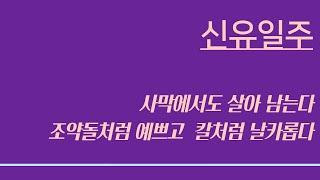 신유일주 ㅣ (58), 사막에서도 살아 남는다, 조약돌 처럼 예쁘고 단단하다, 주관이 뚜렸하다, 차갑고 이성적이다.