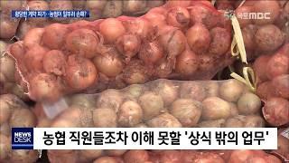 황당한 양파 계약 파기..농협만 빚 떠안아[목포MBC뉴스데스크]