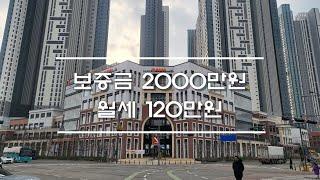 평택 고덕 브리티시 상가 임대 다이소 지하 15평