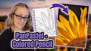 Sunflower in  Colored Pencil & Pan Pastels - Full Lesson