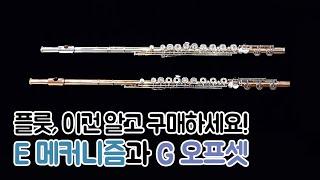 플룻 옵션 : 이건 알고 구매하세요! E 메커니즘과 G 오프셋 / How to buy a flute for beginners