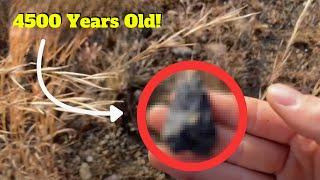 Arrowhead Hunting Pennsylvania | Finding 4500 Year Old Artifacts On The Dry Lake! (2024)