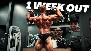 Back day with IFBB Pro John Jewett (he's my coach) TTIN Ep.13