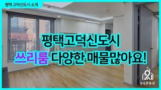 평택고덕신도시 쓰리룸 다양한 매물 많은 9시고덕파라곤부동산