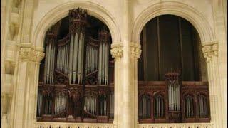 The BIGGEST Gothic Cathedral in the WORLD! The organ of Saint John the Divine in NYC