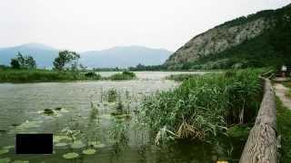 Torbiere del lago d' Iseo