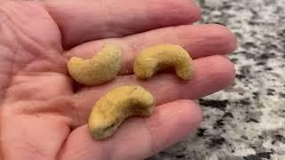 GIANTS Cashews Dill Pickle Review @TheLexusIS250Dude