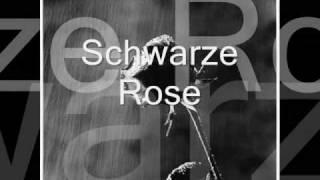 IBO - Schwarze Rose