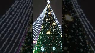 Tree decor my city 2020 december center