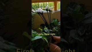 Gorgeous firefly solar lights from Amazon! #mygarden #nature #balconygarden #solarlight