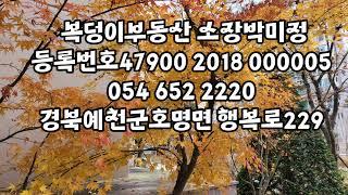 경북도청1층상가임대 ( 시설비 없음)