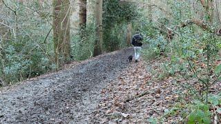 Exploring Nidd Gorge - North Yorkshire - British Nature Walks