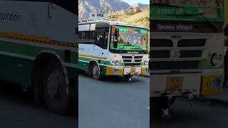 #shimla #dharamshala #himachal #himbus #hrtclover #delhi #gurgram #elvishyadav #hrtc #kinnaur