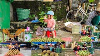 FULL VIDEO: 150 Days of Harvesting Jackfruit, Snail, Pineapple, Guava Fruit Going market to sell