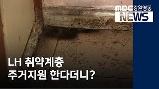 [뉴스리포트] LH 취약계층 주거지원 한다더니? 200831