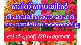 120മുതൽ ബൗഗൈൻ വില്ല  9947117792