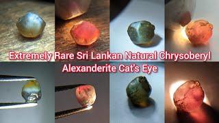 Very Rare Natural Chrysoberyl Alexanderite Cat's Eye Rough Gemstone - City of Gem