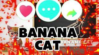 BANANA CAT AND HAPPY CAT SCHOOL-DINOSAURS EAT MEAT OR EAT GRASS