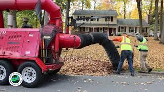 Fall Leaf Cleanup 2024