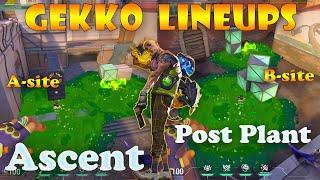 Top 15 Ascent Gekko Post Plant Lineups | Gekko Lineups Ascent | Gekko Mosh Pit (Molly) Ascent